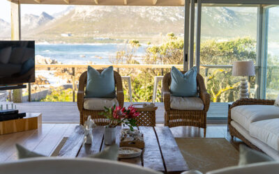Best Time to Visit the Western Cape