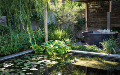 Romantic Getaways in Cape Town